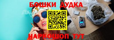 мдпв Лесосибирск