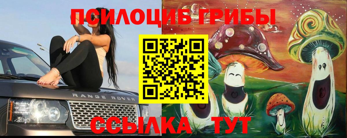 Гашиш  ЭКСТАЗИ  Каннабис  Кокаин  Ефремов  Вход с VPN  Меф  