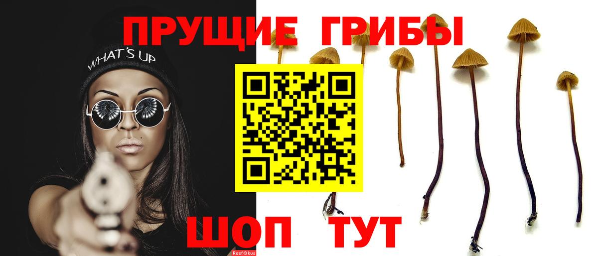 Ефремов  Галлюциногенные грибы Magic Shrooms  Псилоцибиновые грибы Magic Shrooms  Вход с VPN 